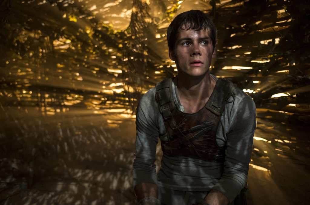 THE MAZE RUNNER Dylan O'Brien stars as Thomas in THE MAZE RUNNER. TM and © 2014 Twentieth Century Fox Film Corporation.  All Rights Reserved.  Not for sale or duplication.